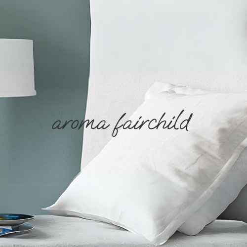 神田｜フェアチャイルド｜サムネイル