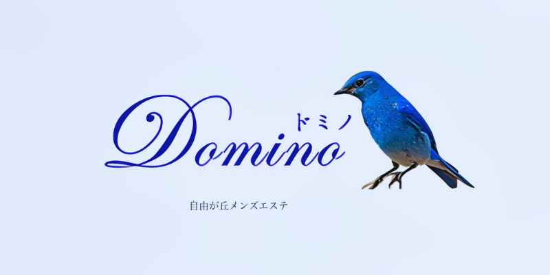 自由が丘｜ドミノ