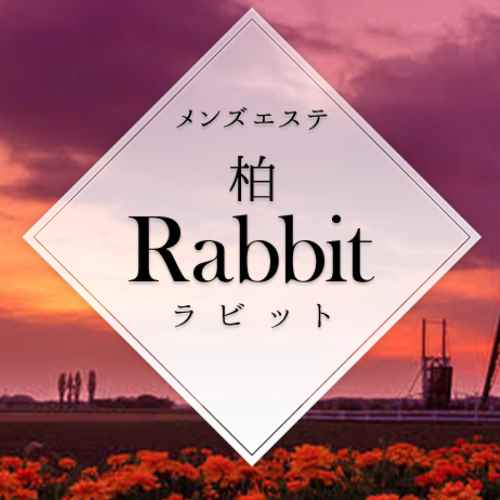 ラビット｜柏｜サムネイル