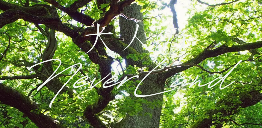 大人のNEVERLAND