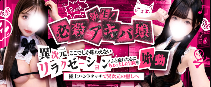必殺アキバ娘〜秋葉原〜神田〜浅草橋～錦糸町
